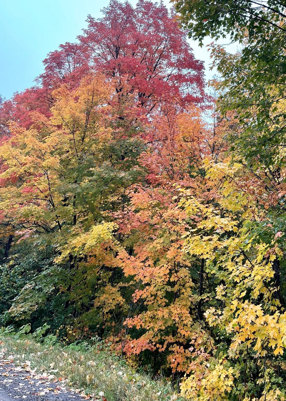 Surrounded by a palette of Lutsen's gorgeous fall colors, our location offers a picturesque backdrop