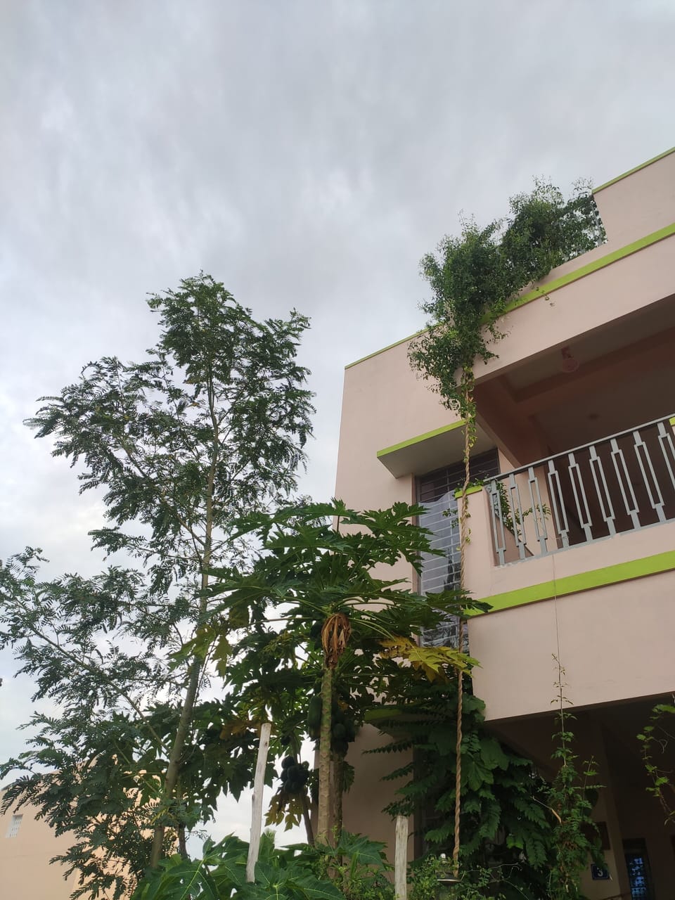 Exterior View