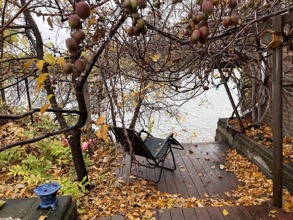 Lower deck near garden looking out at the river.