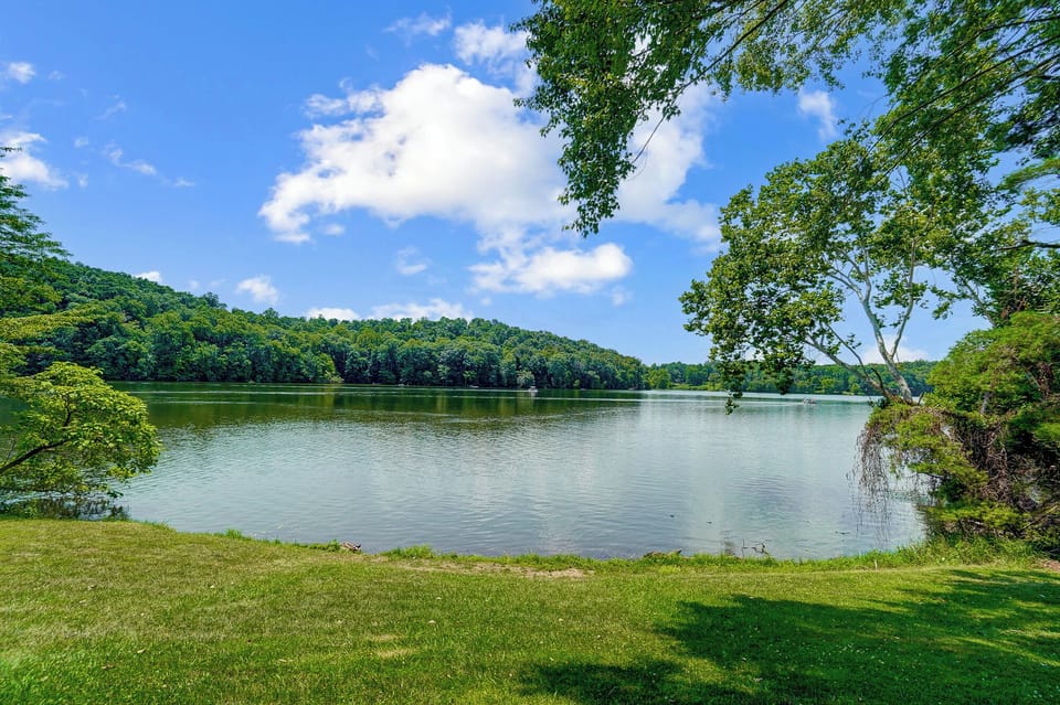 Guests are invited to swim, fish and kayak directly from the property! 