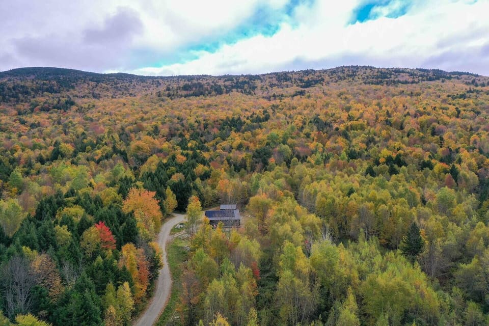 Private setting bordering protected wildlife corridor.