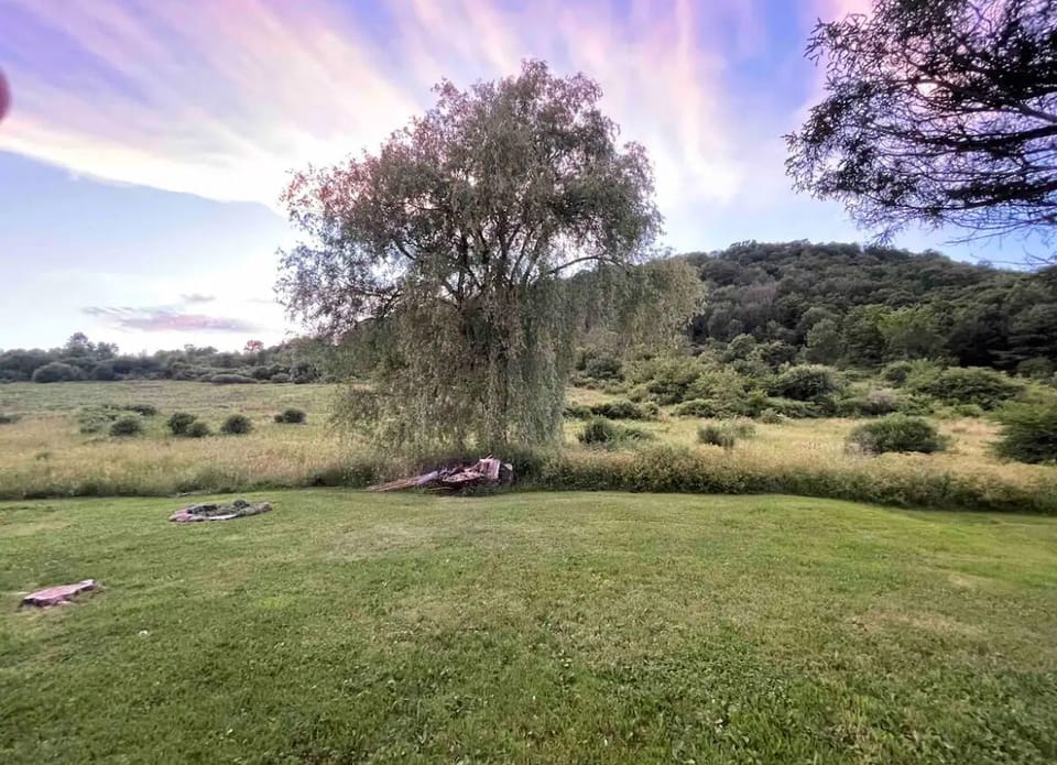Majestic and private mountain views in the backyard