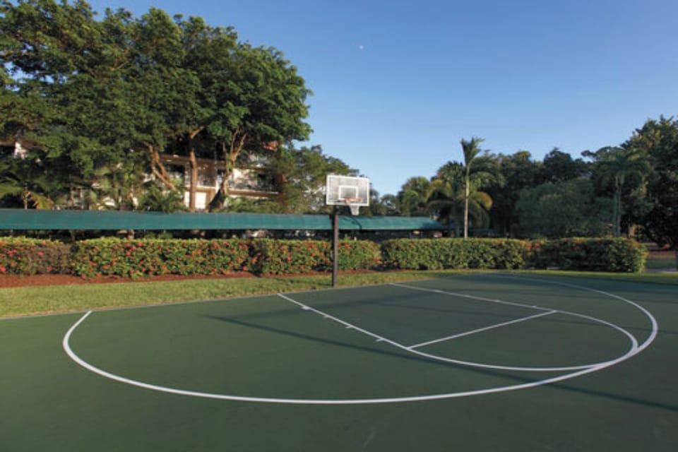 Sport court