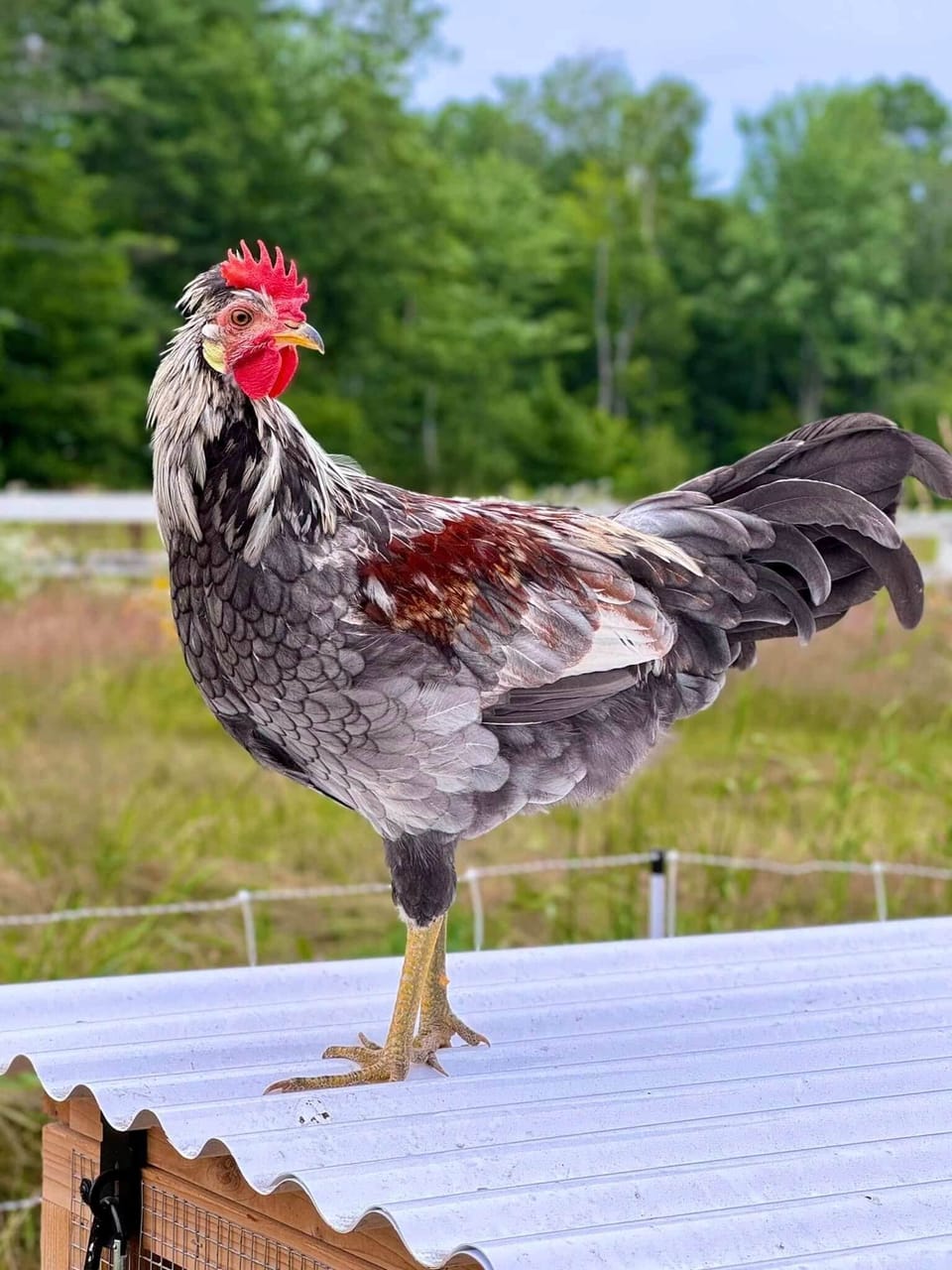 Be immersed in beautiful and peaceful nature all around