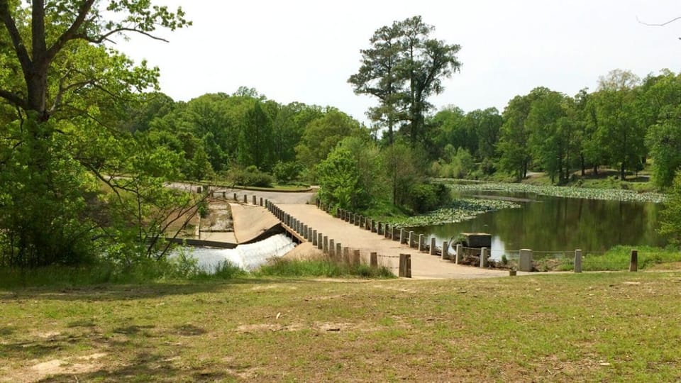 Escape into nature at Joseph Bryan Park in Richmond — a peaceful haven filled with scenic trails, gardens, and wide open spaces perfect for a relaxing day outdoors!