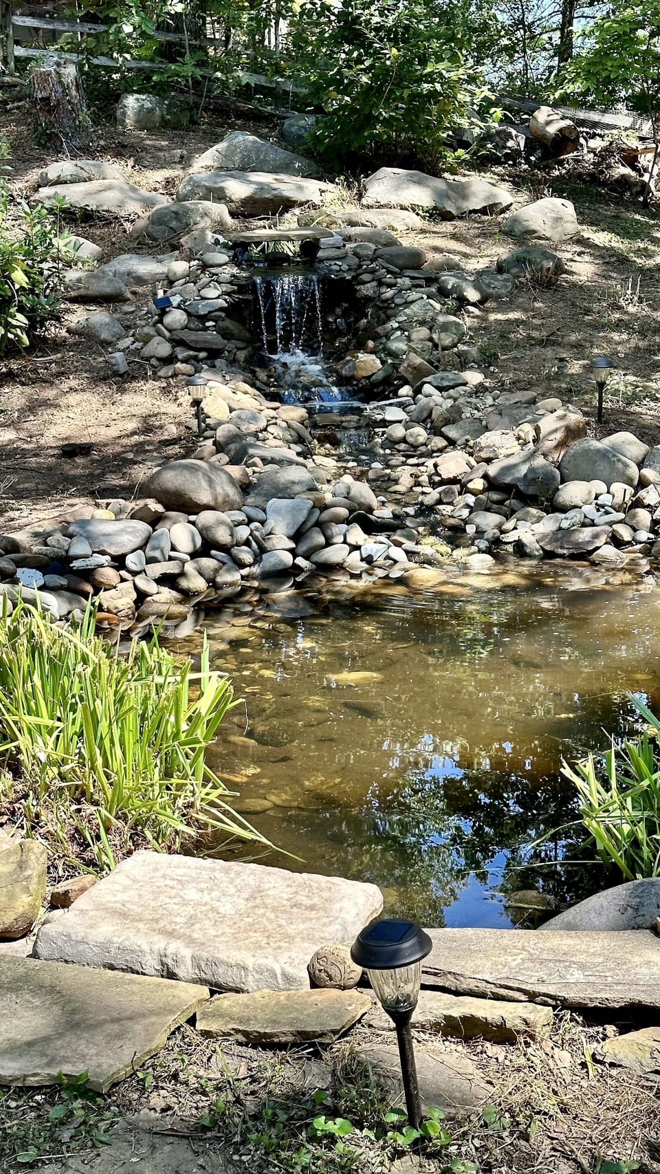 Waterfall feature in backyard