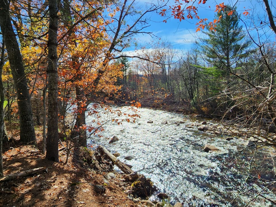 The beautiful Ellis river just a 3 minute walk from the condo.