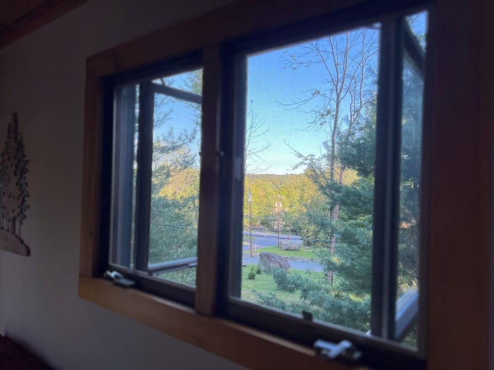 View from window in loft area, seasonal lake views from this window