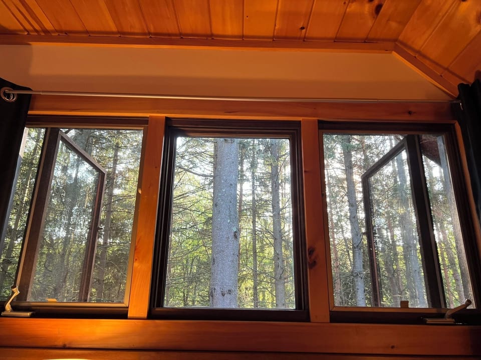 Bedroom 3: Master Bedroom windows and view of the woods behind the house
