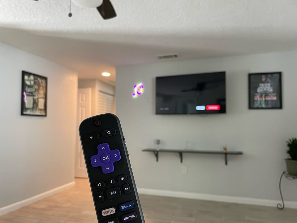 Television