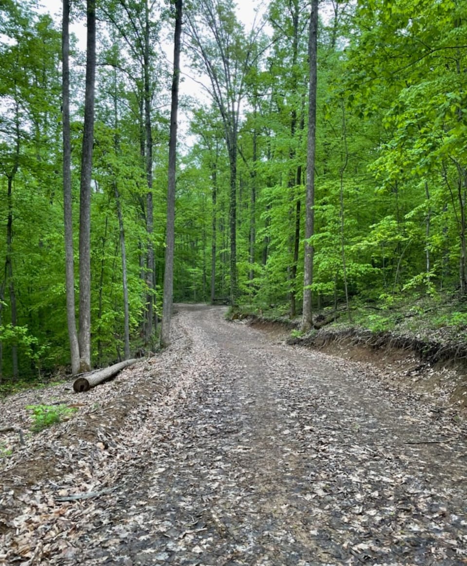 Take a relaxing quiet stroll with just you and the sounds of nature. 