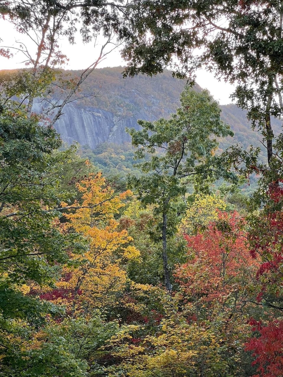 Bald Mountain and Chimney Rock state park are straight ahead of the deck
