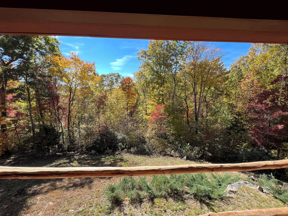 View from property
