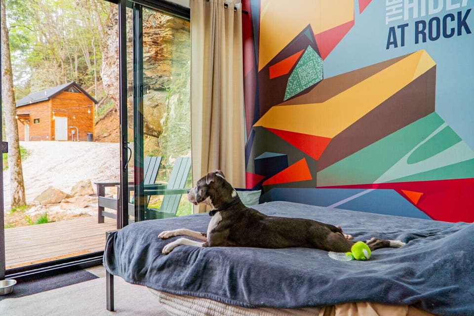 Adventure pups welcome, this bedroom`s sliding door leads right out to the deck. Pet-friendly comfort with a mural that says exactly where you are.