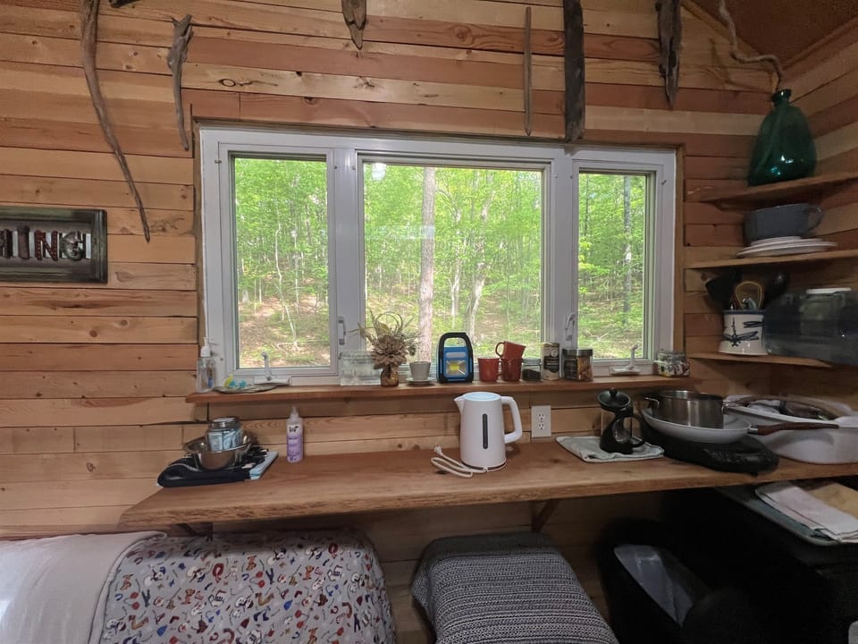 Bay window where all the essentials hang out