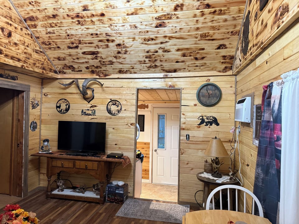 Updated new livingroom