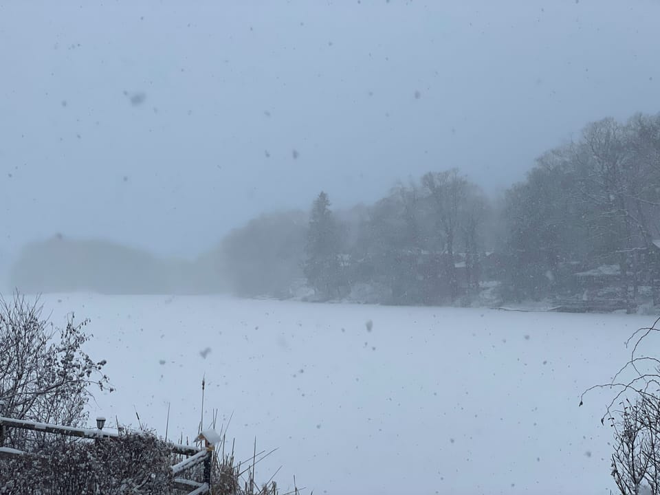 Beautiful and peaceful view with snow