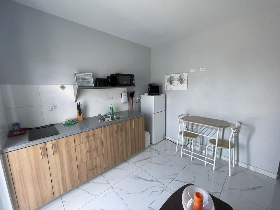 Viva Alto Vista-1BRD-1BTH-nice apt in Alto Vista-Noord (460)