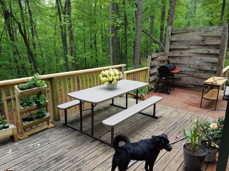Picnic table and grill. Dog not included.
