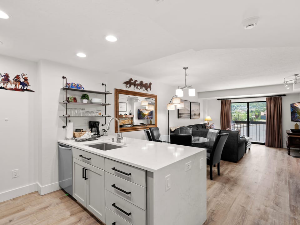 Kitchen / Living Area