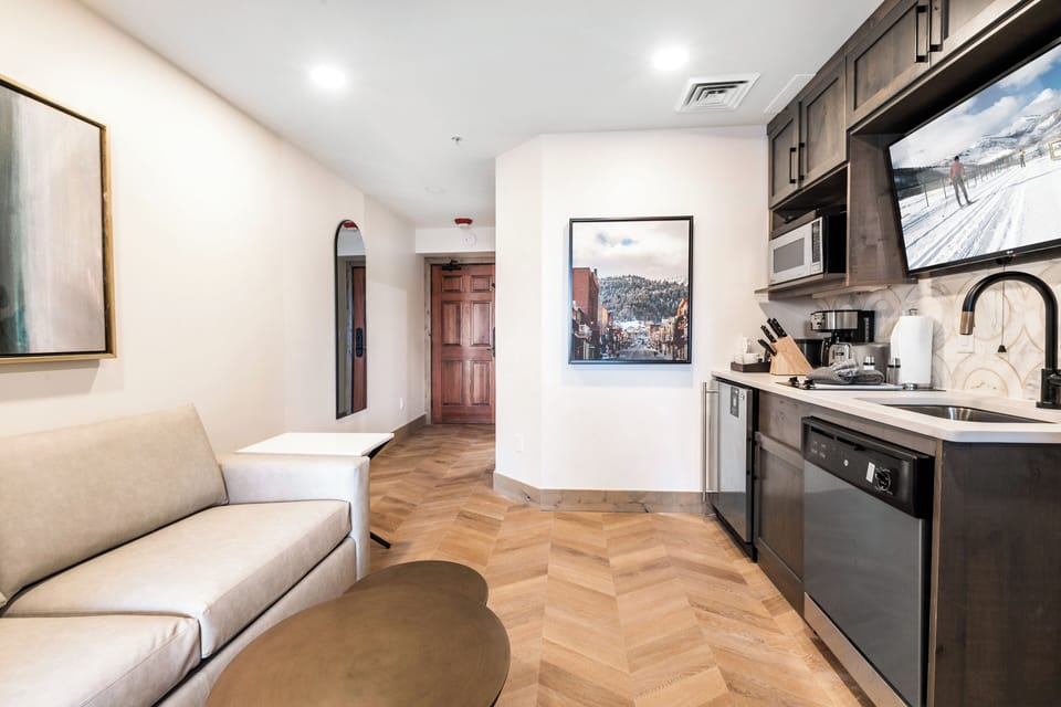 Living Area with Sleeper Sofa / Kitchenette