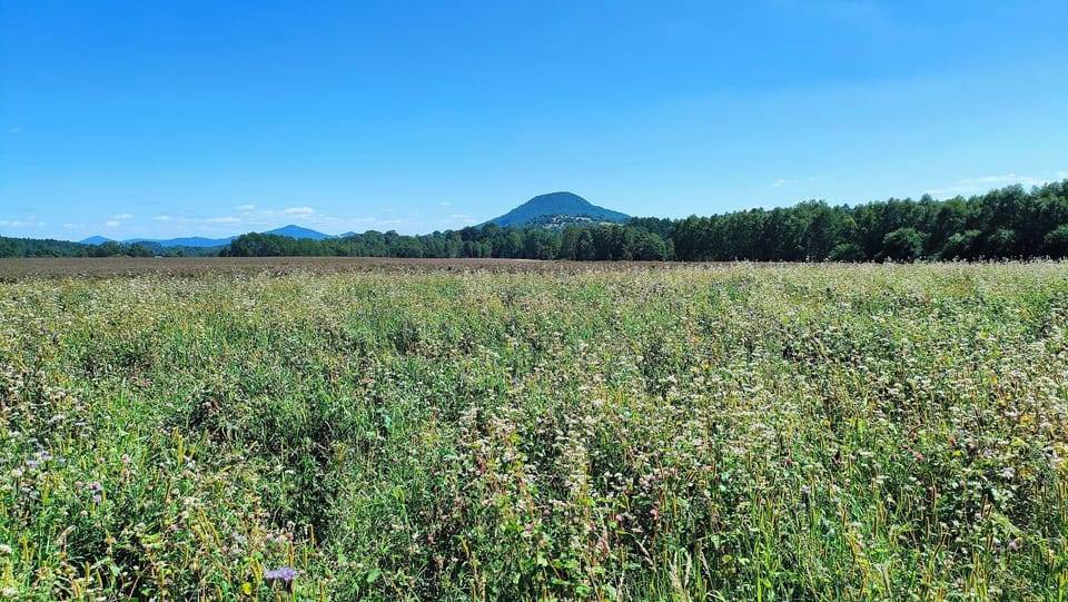 View from the south terrace
