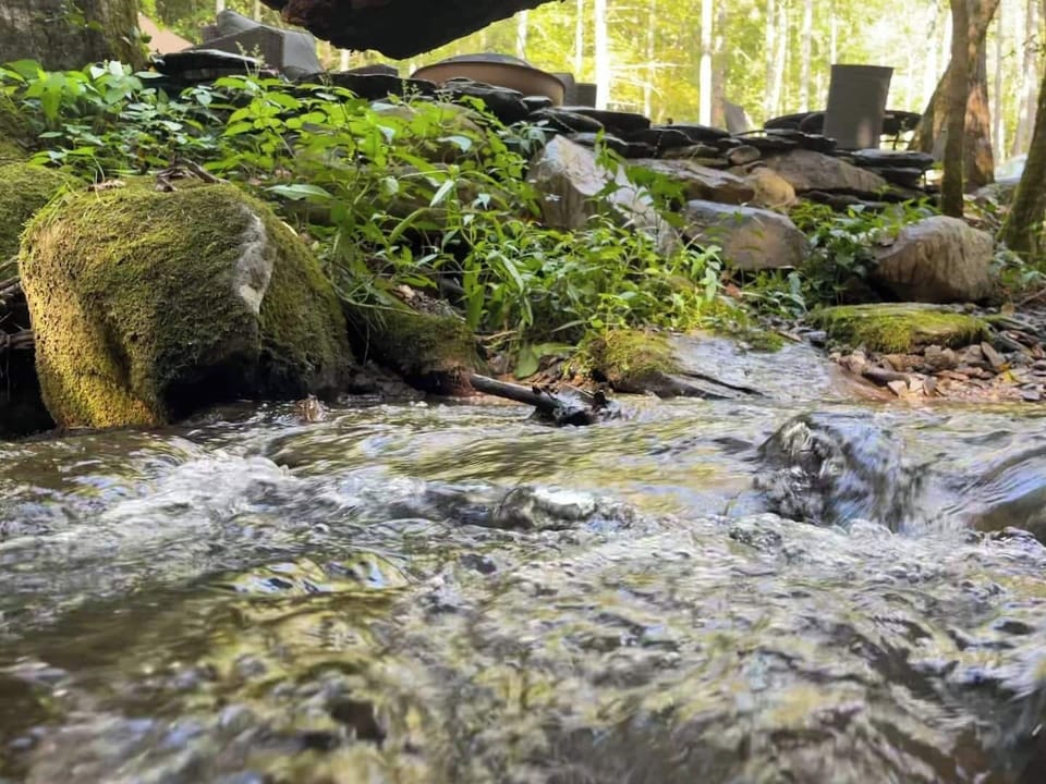 Outdoor area right on the creek
