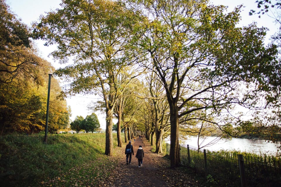 Avenham Park