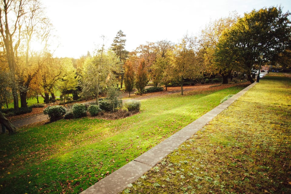 Avenham Park