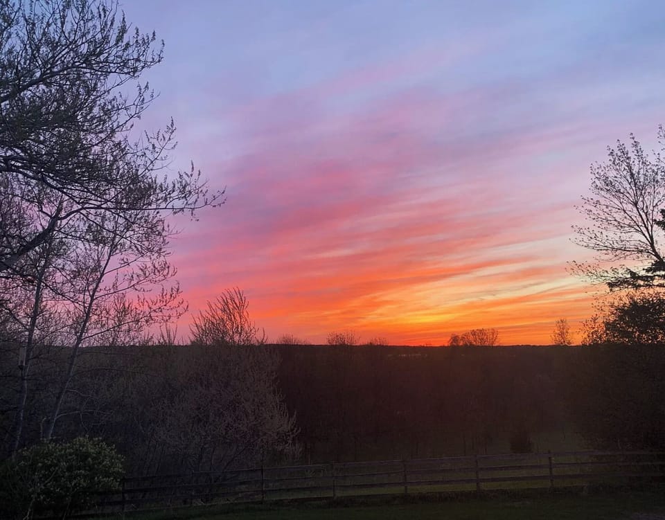 Beautiful sunset seen from the yard. 
