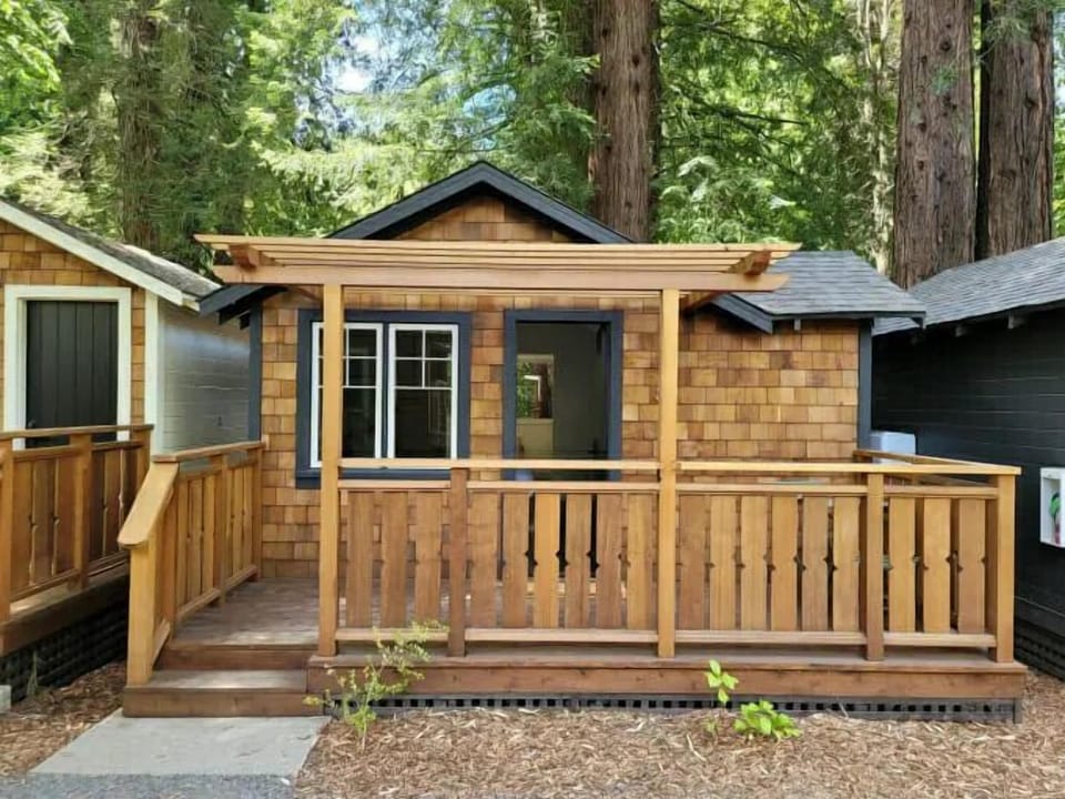 Arrive to a charming cabin porch tucked among redwoods.