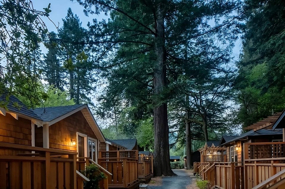 Arrive to a lantern-lit forest lane of cozy cabins.