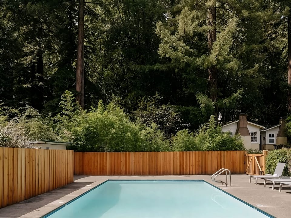 Dive into a serene pool framed by towering redwoods.