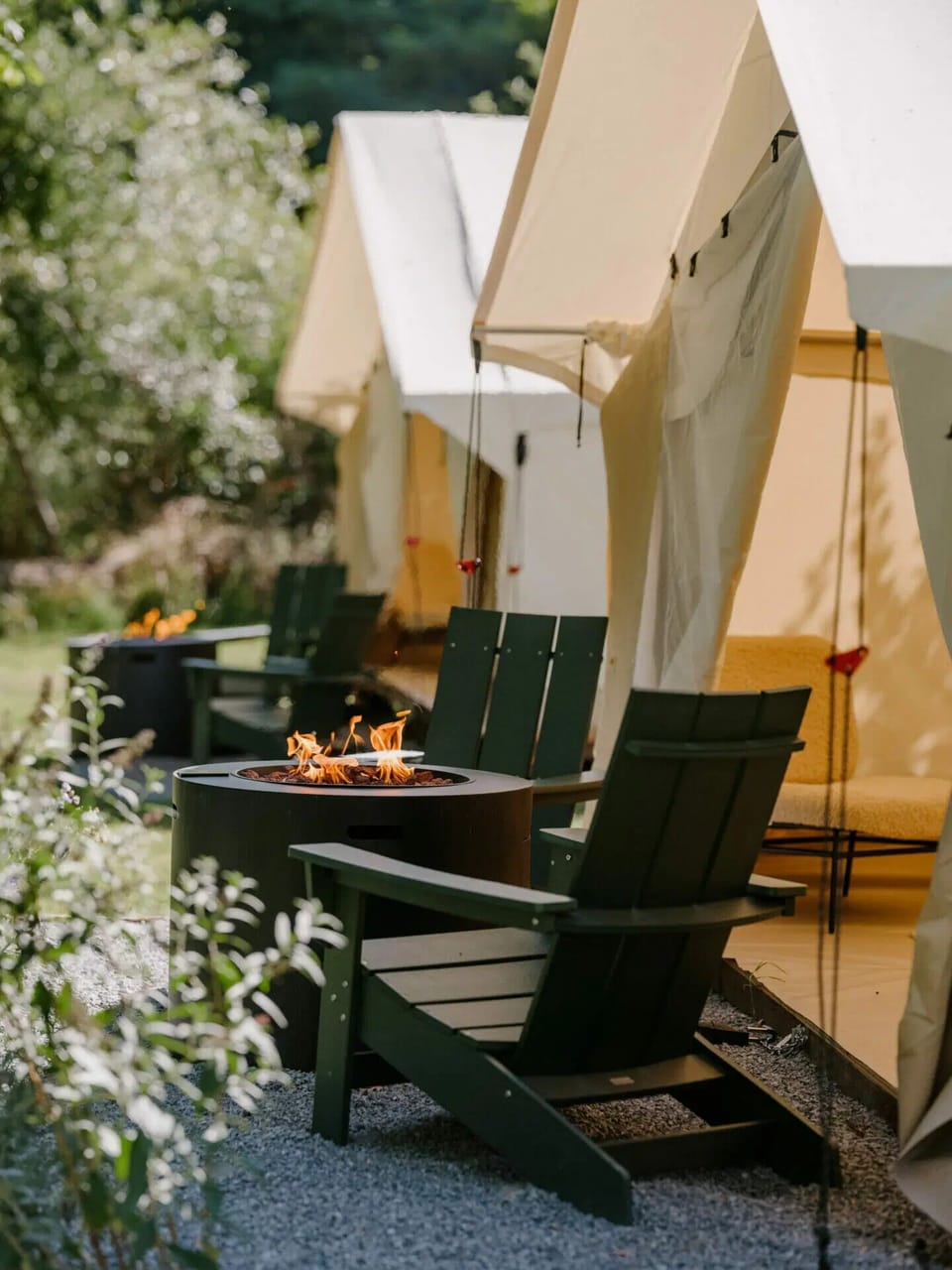 Gather around the flames for stories under the trees.