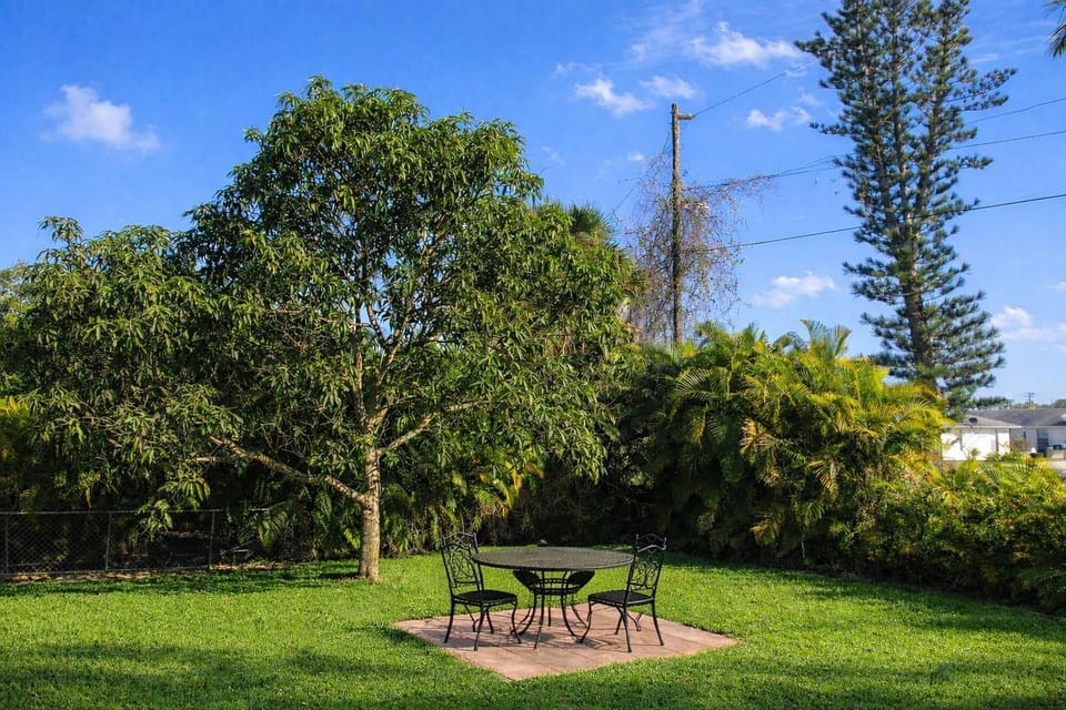 Peaceful Tropical Yard to Unwind