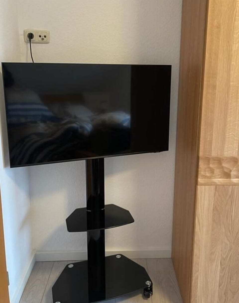 Television