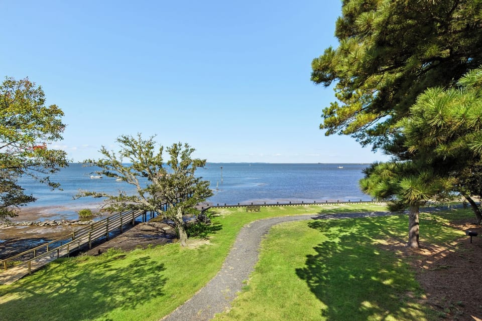 CL547: Animal House | Top Level Deck View