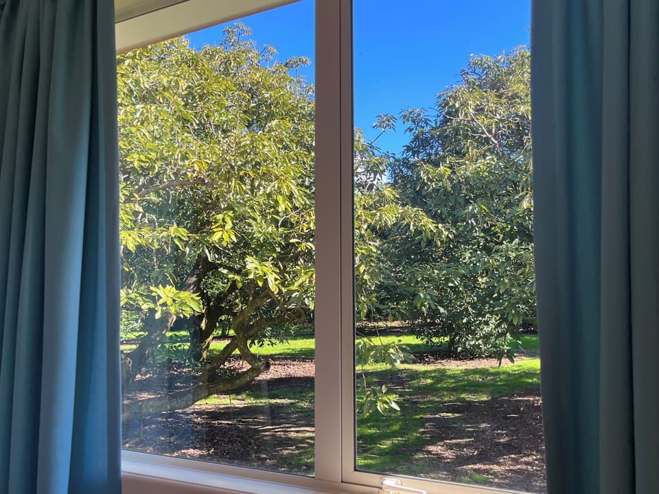 Nestled in the middle of an avocado orchard