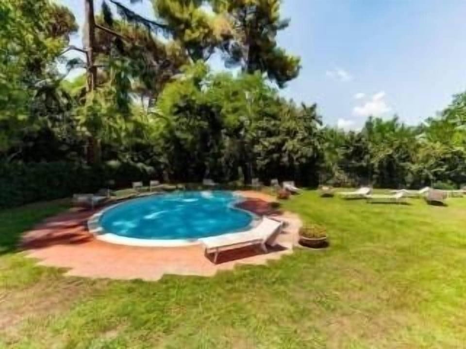 pool with sunbeds