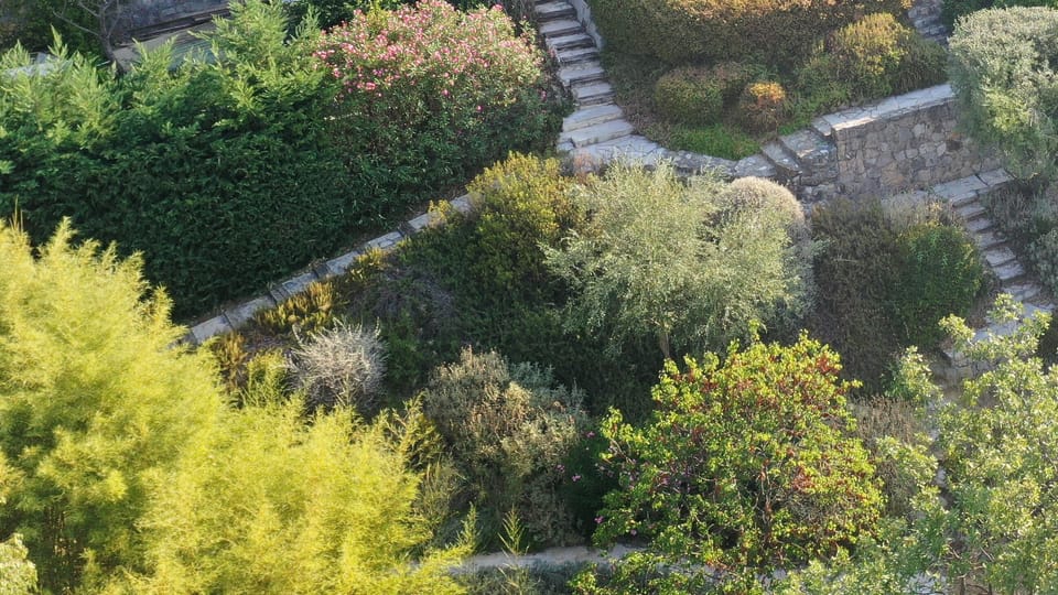 Provençal Gardens