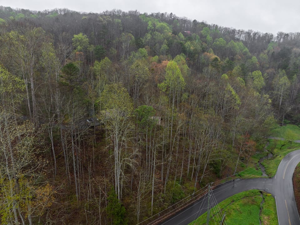Road, Vegetation, Tree, Outdoors, Land