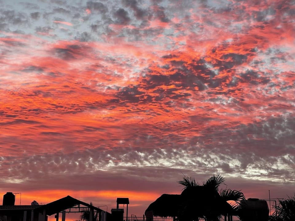 Rooftop sunset