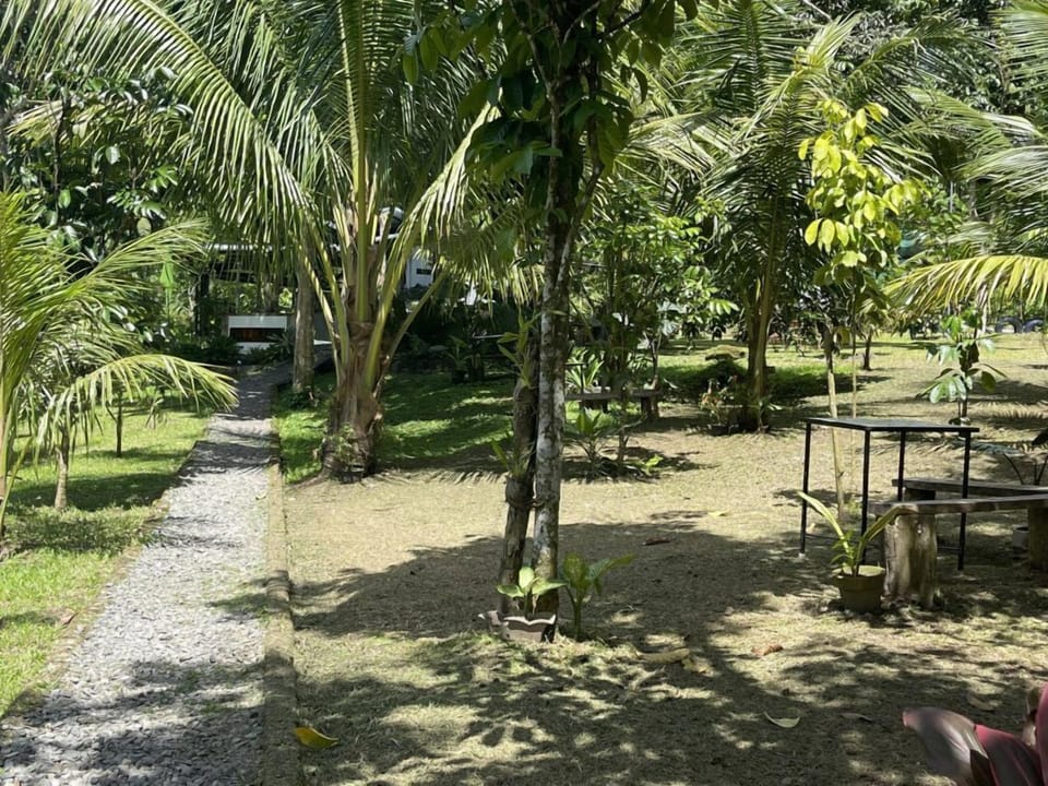 Pathwalk to the Main Entrance