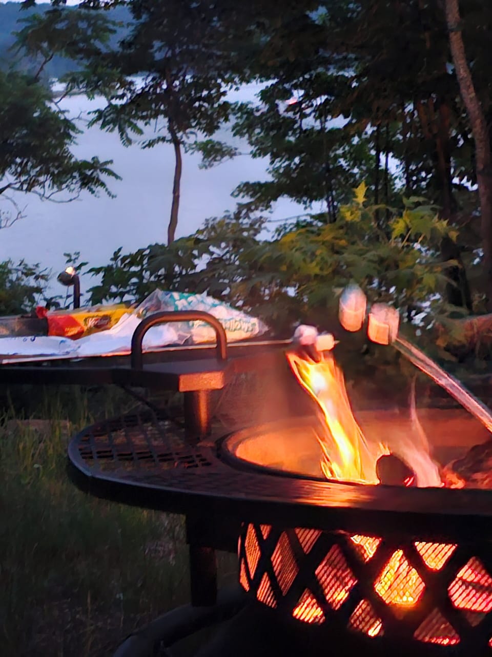 fire pit and sticks available 