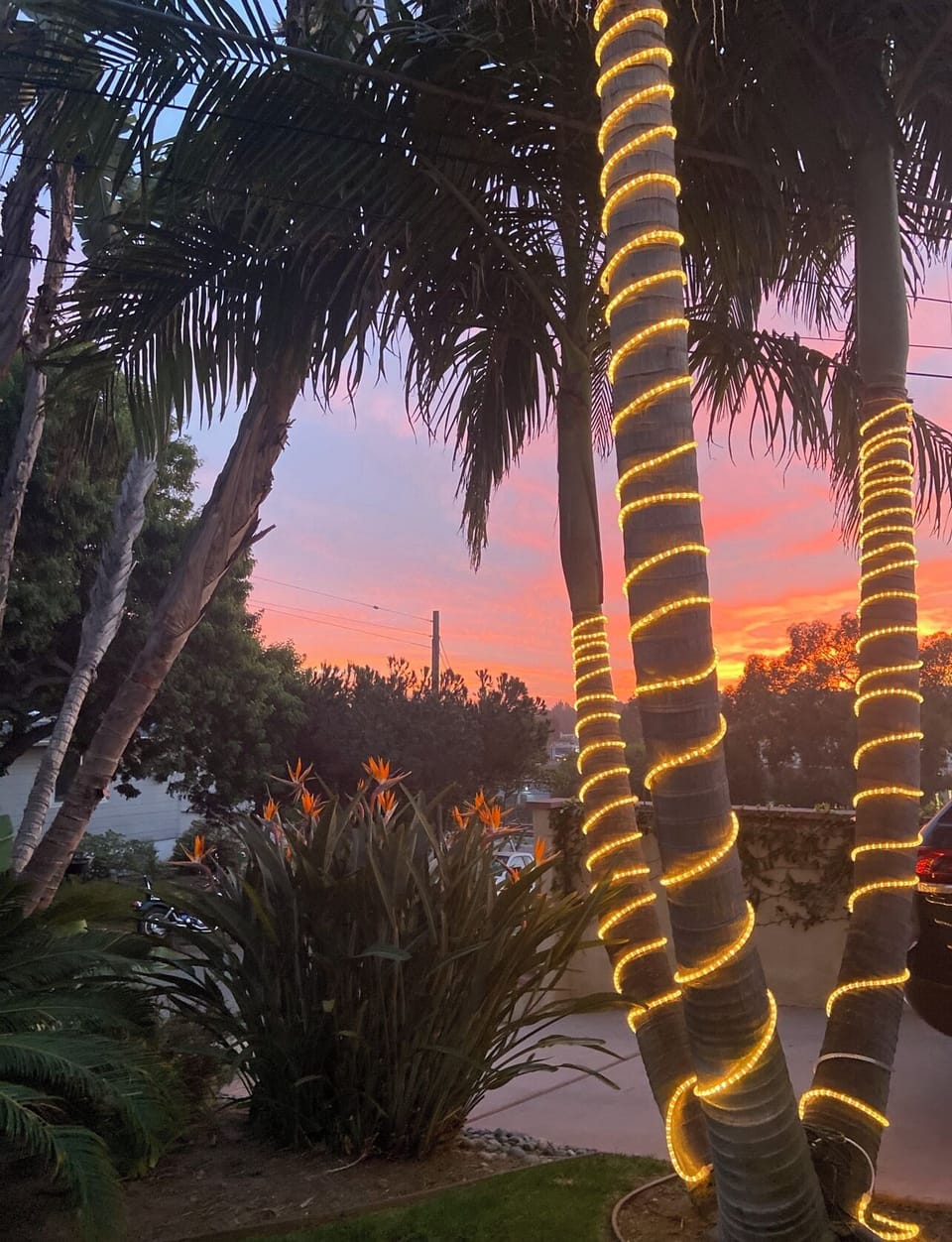 .5 mile to beach. Sunset views. Great rooftop deck.
