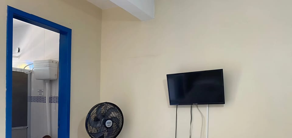 Television