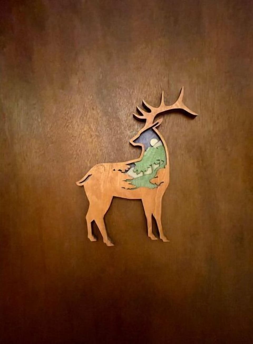 ‘Buck” bedroom door