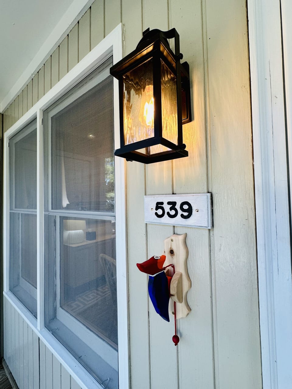 Woody the Best Doorbell on Vacation