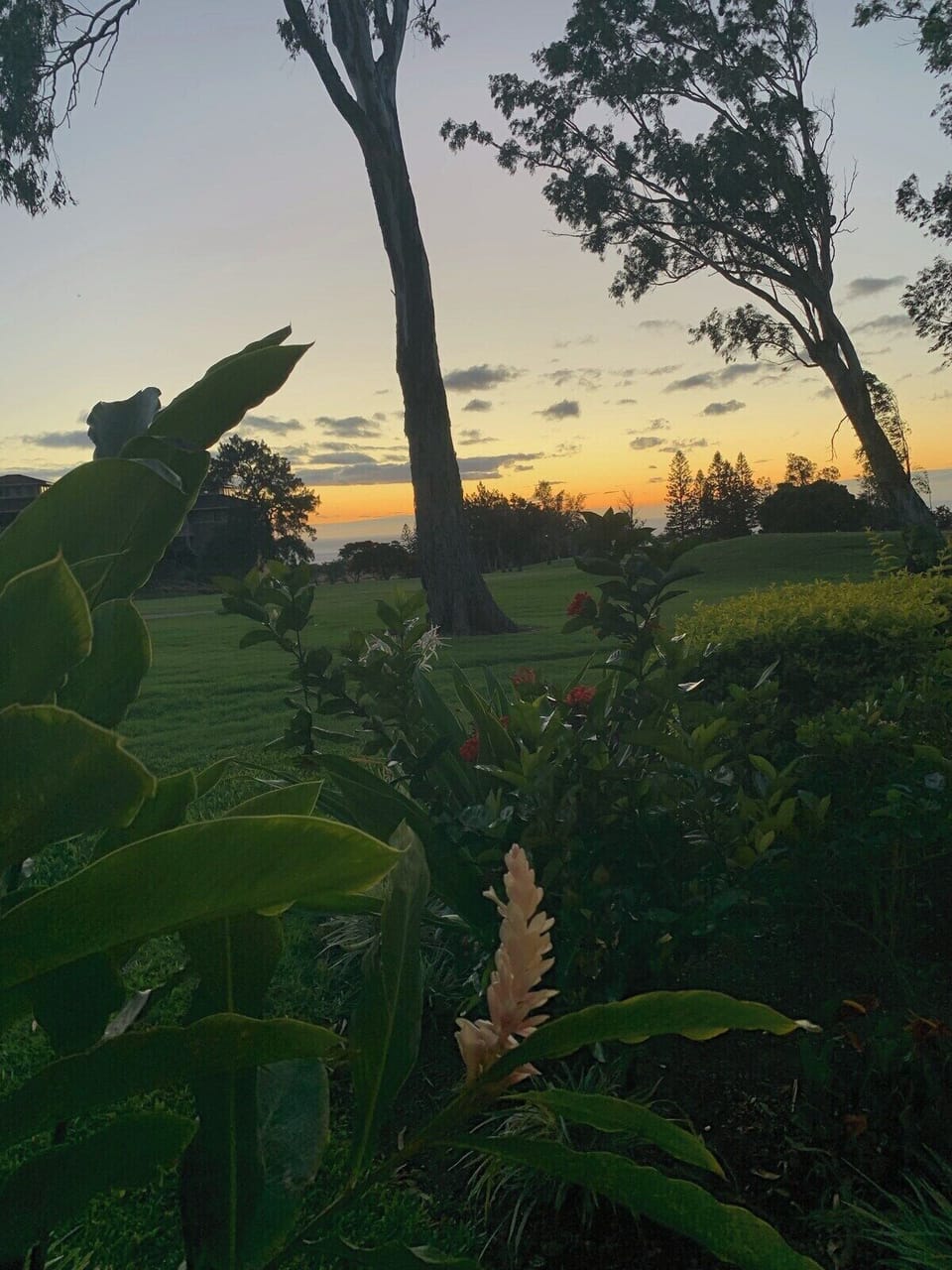 Welcome to Paradise, view from the lanai