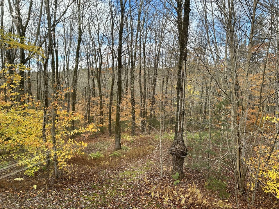 Late autumn view from inside the “Great Room”